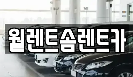 경기도 여주시 월송동 렌트카 전문 월렌트솜렌트카