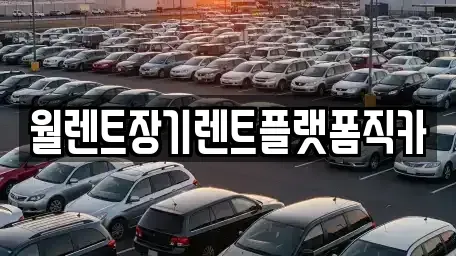 경기도 오산시 고현동 장기렌트카 전문 월렌트장기렌트플랫폼직카