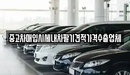 경기도 오산시 고현동 중고차매입 전문 중고차매입시세내차팔기견적가격수출업체