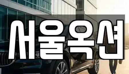 경기도 용인시 처인구 남사읍 중고차매매 전문 서울옥션