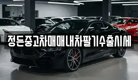 경기도 용인시 처인구 남사읍 중고차매매 전문 정든중고차매매내차팔기수출시세