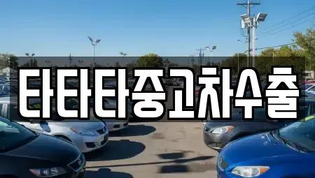 경기도 용인시 처인구 남사읍 중고차매매 전문 타타타중고차수출