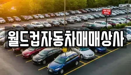 경기도 용인시 처인구 운학동 중고차매매 전문 월드컵자동차매매상사