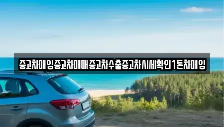 경기도 용인시 처인구 운학동 중고차매입 전문 중고차매입중고차매매중고차수출중고차시세확인1톤차매입