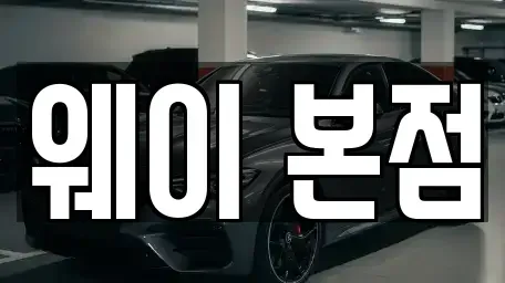 경기도 의왕시 단기렌트카 전문 웨이 본점