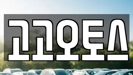 경기도 의왕시 렌트카 전문 고고오토스