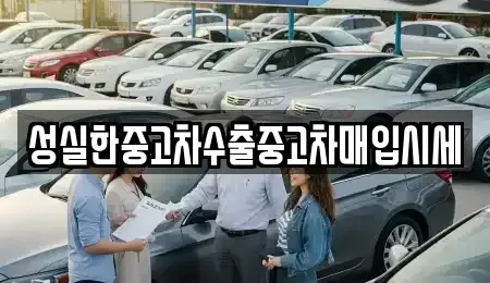 경기도 의왕시 중고차매매 전문 성실한중고차수출중고차매입시세