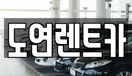 경기도 의정부시 낙양동 렌트카 전문 도연렌트카
