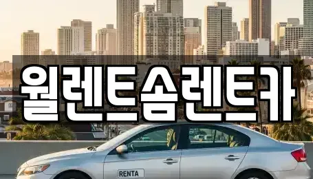 경기도 의정부시 호원동 렌트카 전문 월렌트솜렌트카