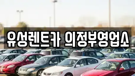 경기도 의정부시 호원동 렌트카 전문 유성렌트카 의정부영업소