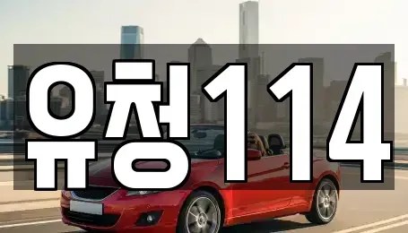 경기도 의정부시 호원동 렌트카 전문 유청114
