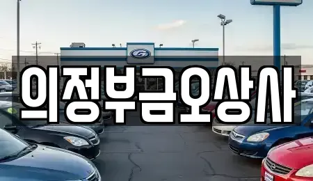 경기도 의정부시 호원동 중고차매매 전문 의정부금오상사