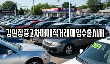 경기도 파주시 광탄면 중고차매매 전문 김실장중고차매매직거래매입수출시세