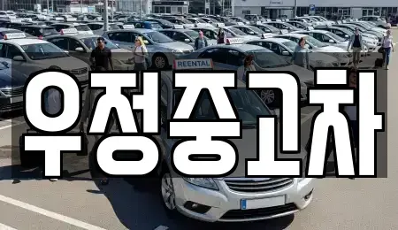 경기도 파주시 서패동 중고차매매 전문 우정중고차