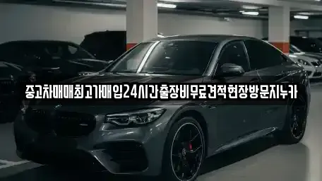경기도 파주시 서패동 중고차매매 전문 중고차매매최고가매입24시간출장비무료견적현장방문지누카