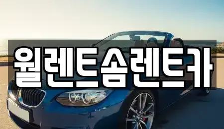경기도 파주시 하지석동 렌트카 전문 월렌트솜렌트카
