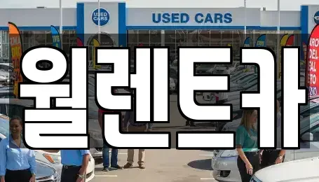 경기도 평택시 가재동 렌트카 전문 월렌트카