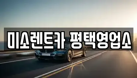 경기도 평택시 죽백동 렌트카 전문 미소렌트카 평택영업소