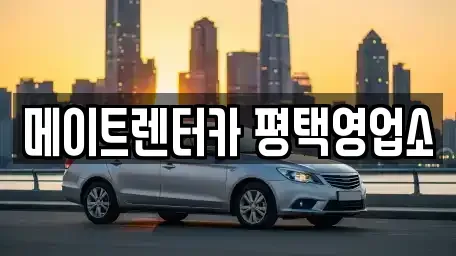 경기도 평택시 청북읍 렌트카 전문 메이트렌터카 평택영업소