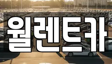 경기도 평택시 청북읍 렌트카 전문 월렌트카