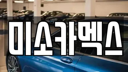 경기도 평택시 청북읍 중고차 전문 미소카멕스