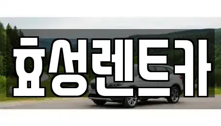 경기도 하남시 감일동 렌트카 전문 효성렌트카