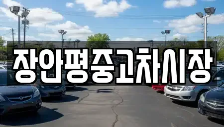 경기도 하남시 감일동 중고차 전문 장안평중고차시장