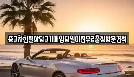 경기도 하남시 감일동 중고차매입 전문 중고차친절상담고가매입당일이전무료출장방문견적