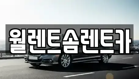 경기도 화성시 진안동 렌트카 전문 월렌트솜렌트카