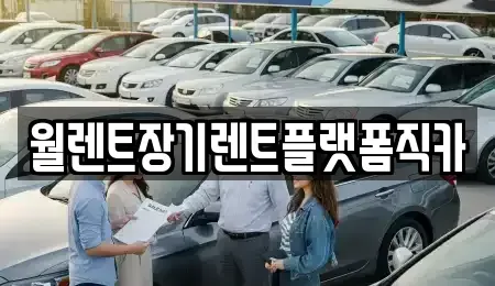 경기도 화성시 진안동 장기렌트카 전문 월렌트장기렌트플랫폼직카