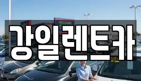 경기도 화성시 향남읍 렌트카 전문 강일렌트카
