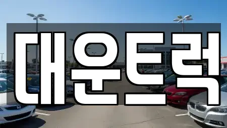 경기도 화성시 향남읍 중고차매매 전문 대운트럭