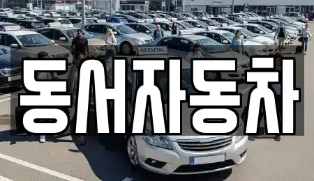 경남 거제시 동부면 장기렌트카,중고차,렌트카,단기렌트카,중고차매입,중고차매매