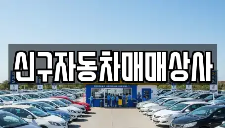 경남 밀양시 가곡동 중고차매매 전문 신구자동차매매상사