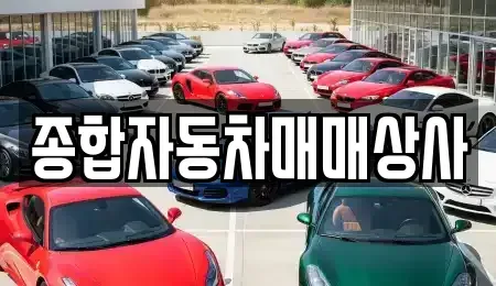 경남 사천시 동동 중고차 전문 종합자동차매매상사