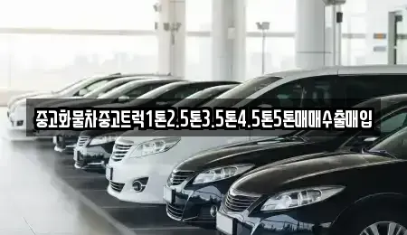 경남 사천시 용현면 중고차매입 전문 중고화물차중고트럭1톤2.5톤3.5톤4.5톤5톤매매수출매입
