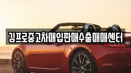 경남 사천시 중고차매입 전문 김프로중고차매입판매수출매매센터