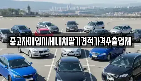 경남 사천시 중고차매입 전문 중고차매입시세내차팔기견적가격수출업체