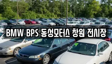 경남 창원시 마산회원구 봉암동 중고차매매 전문 BMW BPS 동성모터스 창원 전시장