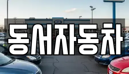 경남 창원시 마산회원구 봉암동 중고차매매 전문 동서자동차