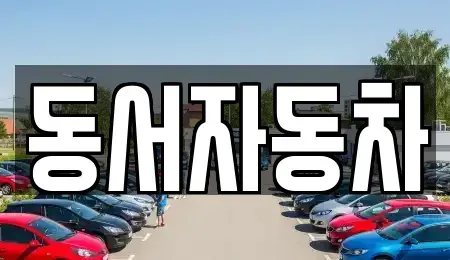 경남 통영시 미수동 중고차 전문 동서자동차