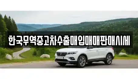 경남 통영시 북신동 중고차 전문 한국무역중고차수출매입매매판매시세