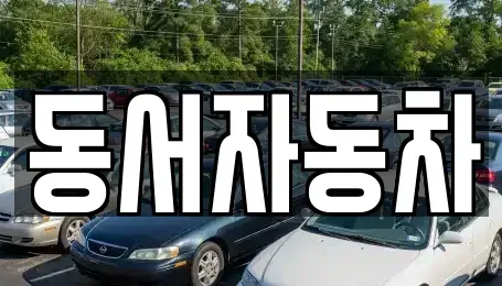 경남 통영시 평림동 중고차 전문 동서자동차