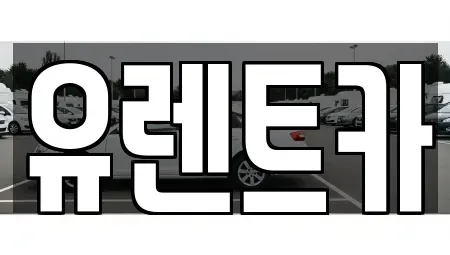 경북 경산시 신교동 렌트카 전문 유렌트카