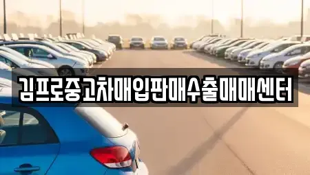 경북 경산시 신교동 중고차매매 전문 김프로중고차매입판매수출매매센터