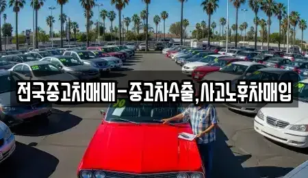 경북 경산시 신교동 중고차매매 전문 전국중고차매매-중고차수출,사고노후차매입