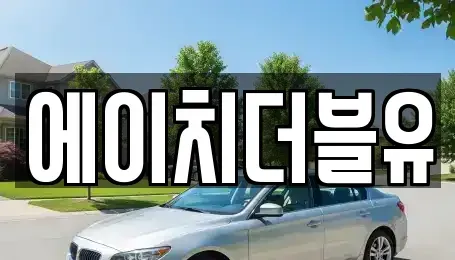 경북 경산시 장기렌트카 전문 에이치더블유