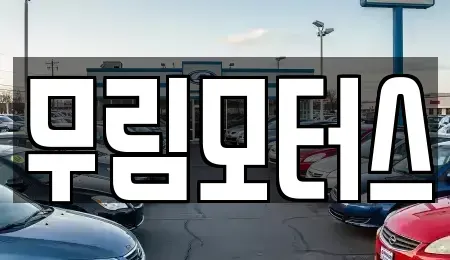 경북 경산시 중산동 중고차매매 전문 무림모터스