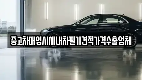 경북 경산시 중산동 중고차매입 전문 중고차매입시세내차팔기견적가격수출업체