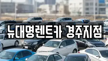 경북 경주시 석장동 렌트카 전문 뉴대명렌트카 경주지점